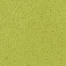 Green Fun $49.99 Installed! 
